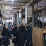 В Шуйском районе  открылся второй агрокласс - Газета Местный спрос