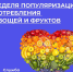В России проходит неделя популяризации овощей и фруктов - Городской округ