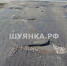 Дорога нуждается в ремонте - Шуйские Известия